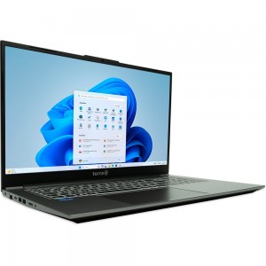 TERRA MOBILE 1717R i5-1334U W11
